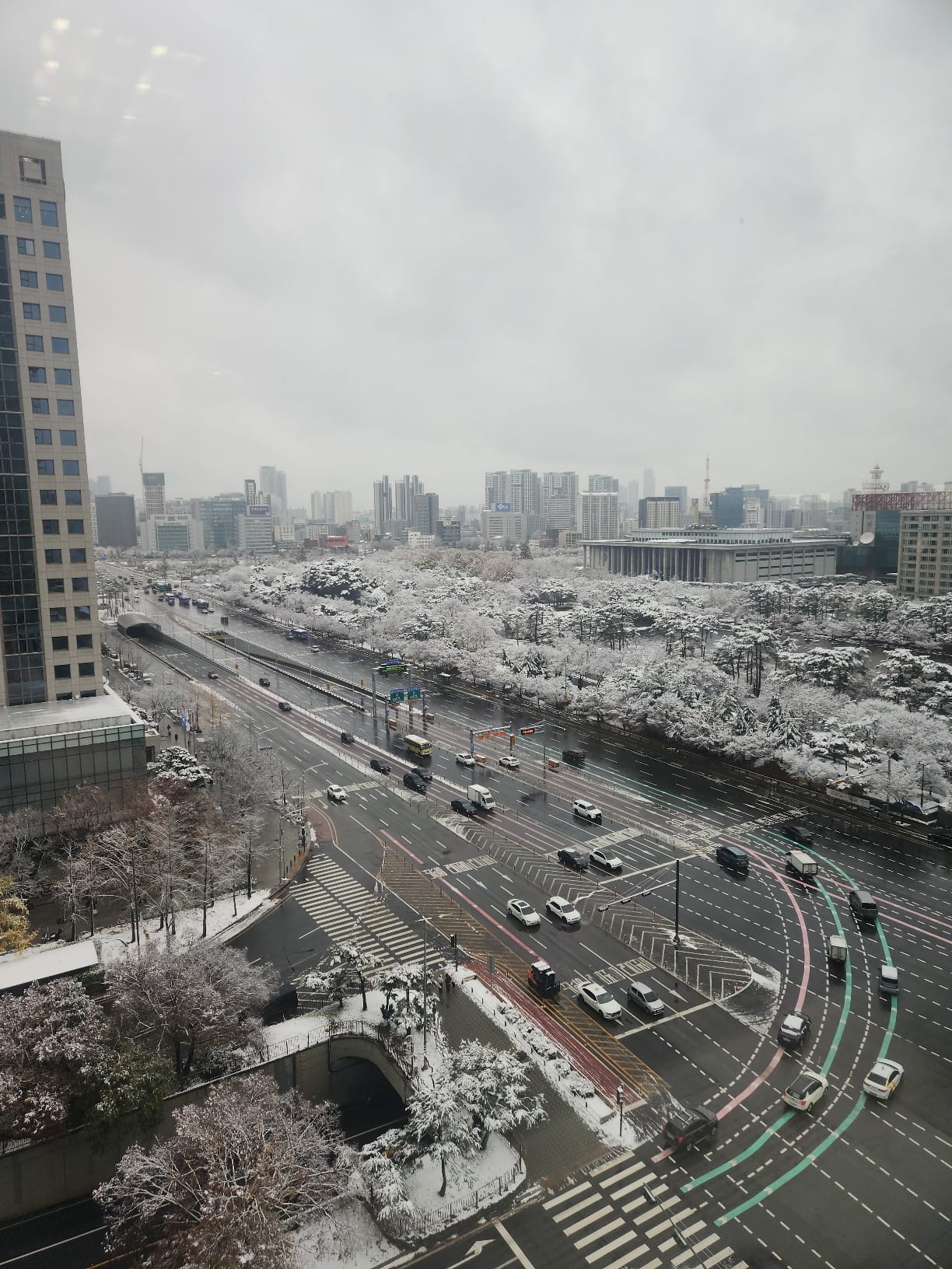 [2024/2025 회고] (4) 여의도 공원 잔혹사