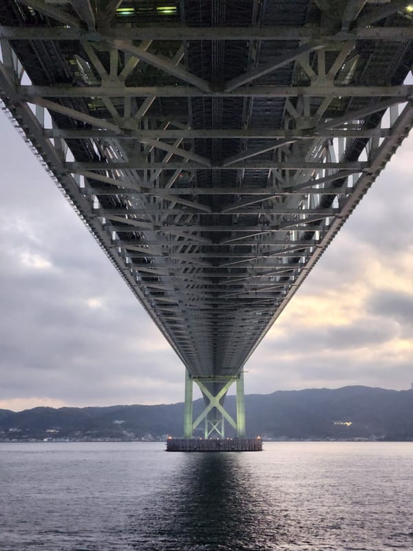 [2024/2025 회고] (1) 잃을 것이 많아진 나이, 스물아홉