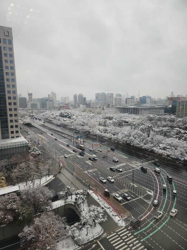 [2024/2025 회고] (4) 여의도 공원 잔혹사